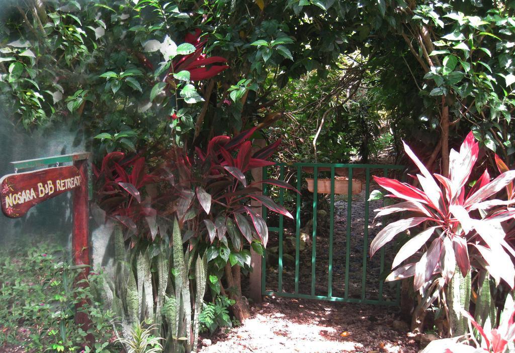 Nosara B&B Retreat Ngoại thất bức ảnh