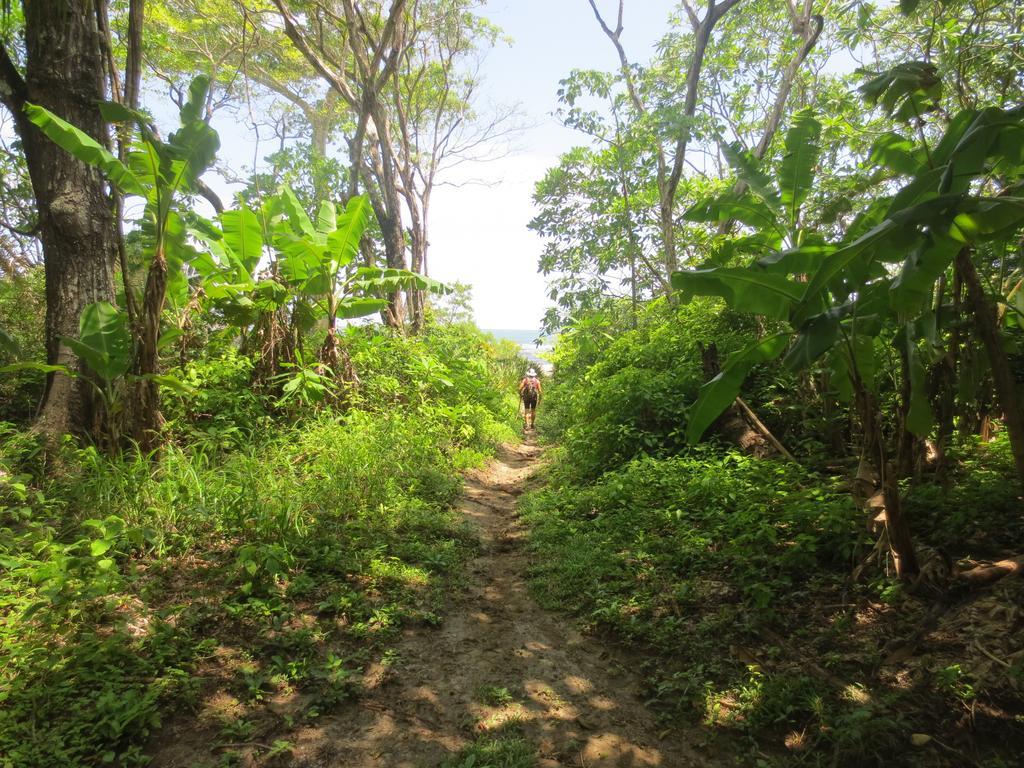 Nosara B&B Retreat Ngoại thất bức ảnh