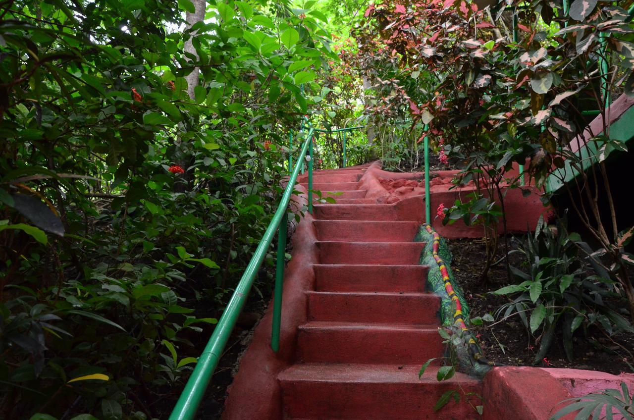 Nosara B&B Retreat Ngoại thất bức ảnh