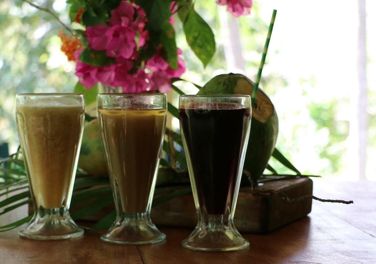 Nosara B&B Retreat Ngoại thất bức ảnh