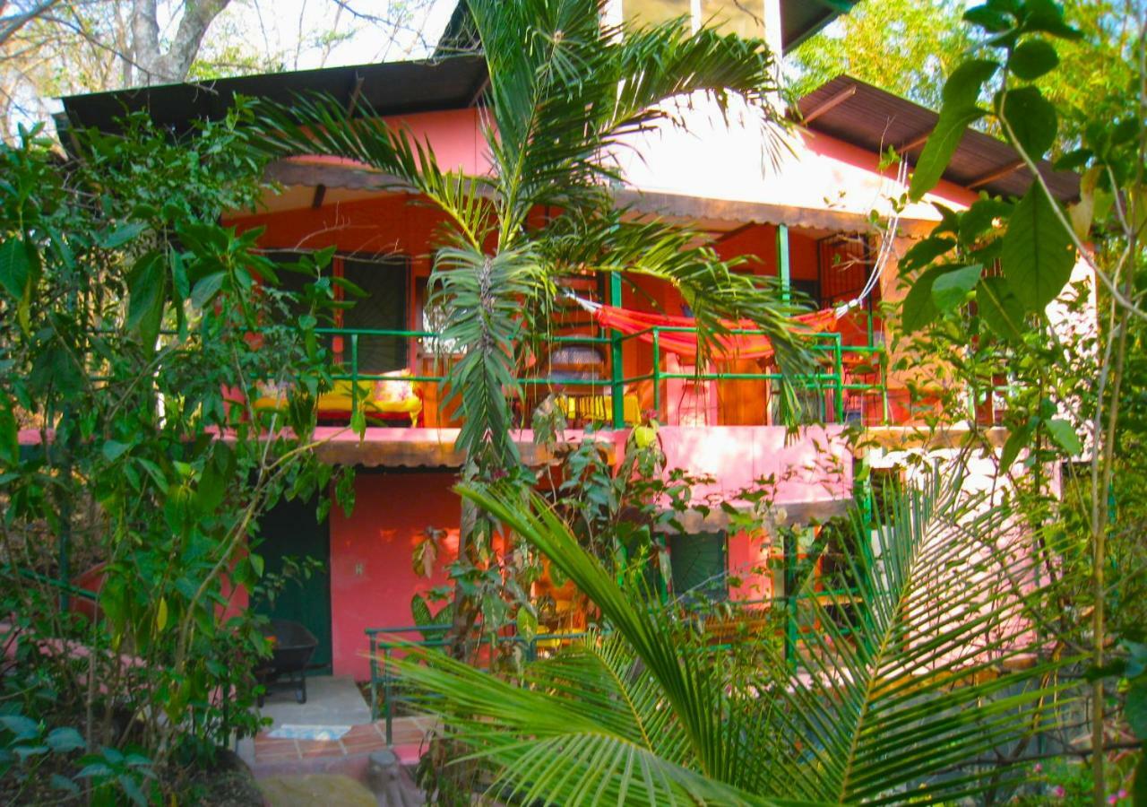 Nosara B&B Retreat Ngoại thất bức ảnh