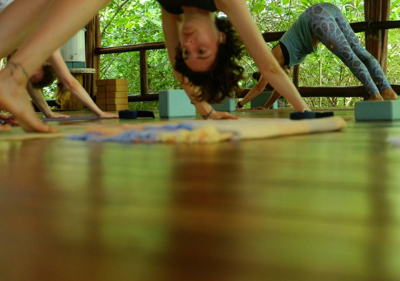 Nosara B&B Retreat Ngoại thất bức ảnh