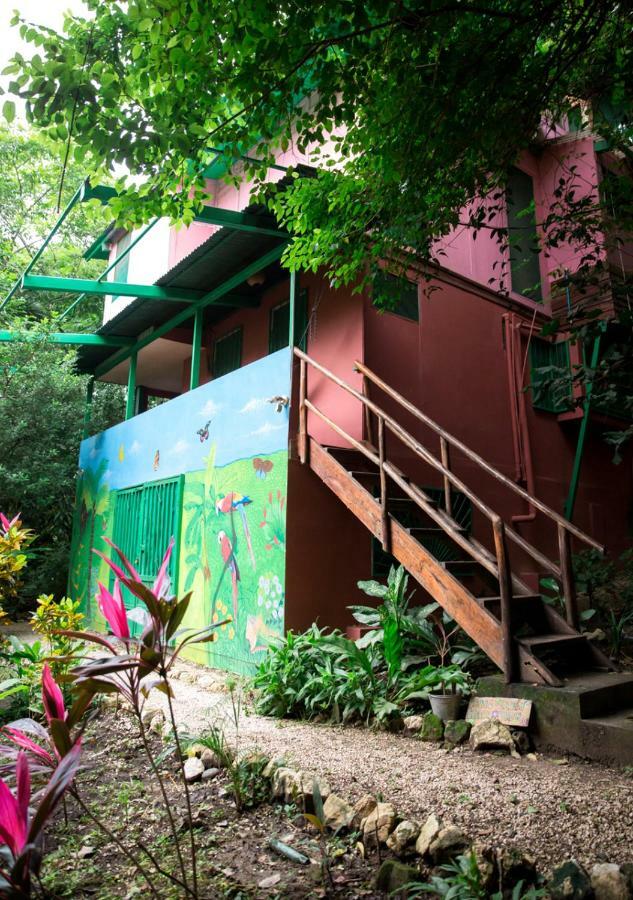 Nosara B&B Retreat Phòng bức ảnh
